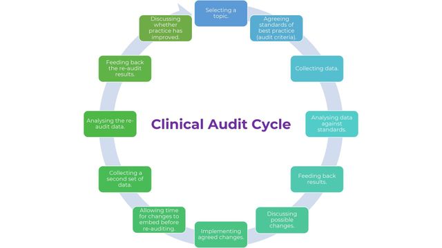 What is 2025 clinical governance radiography